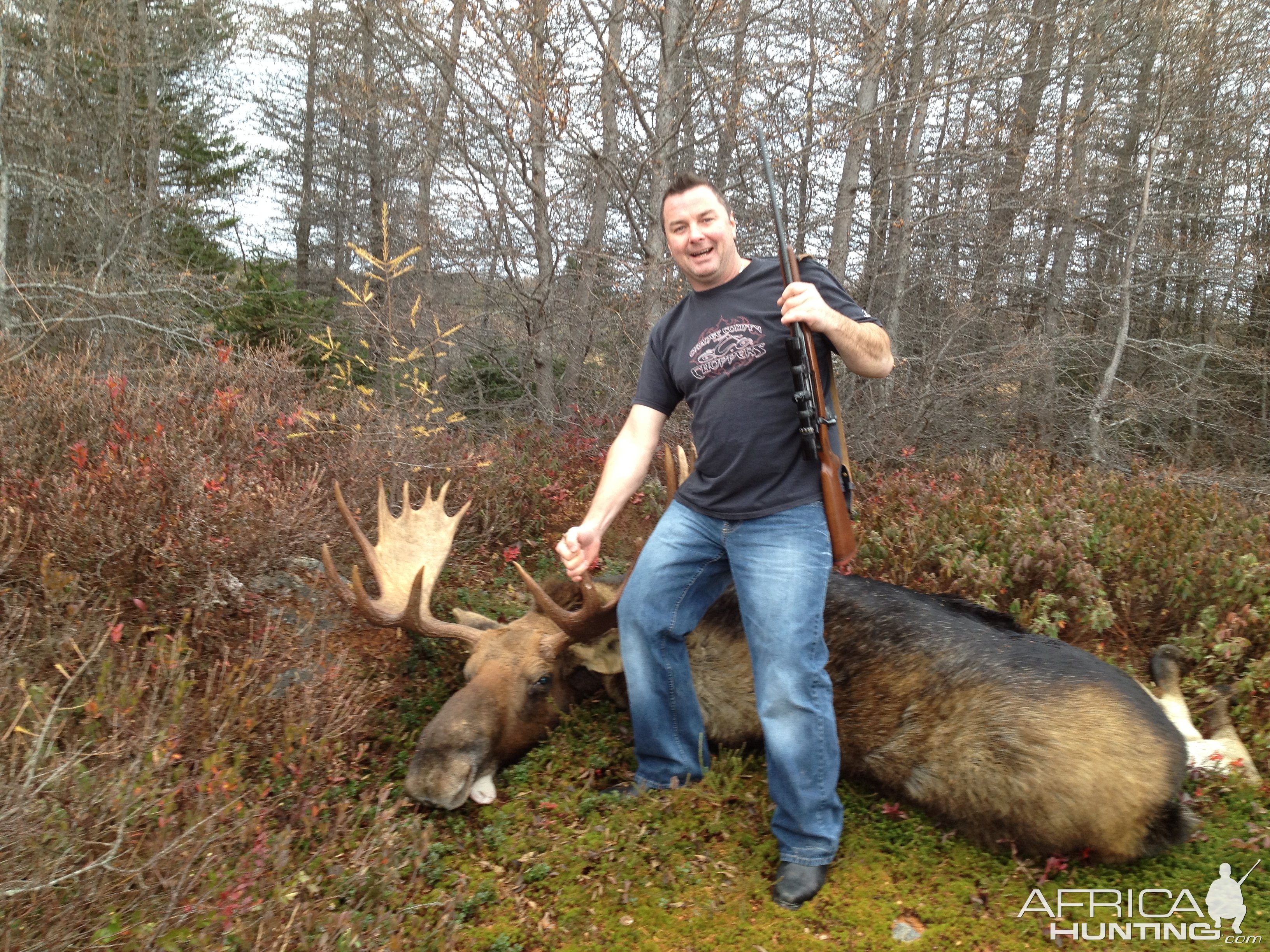 Moose Hunt Canada