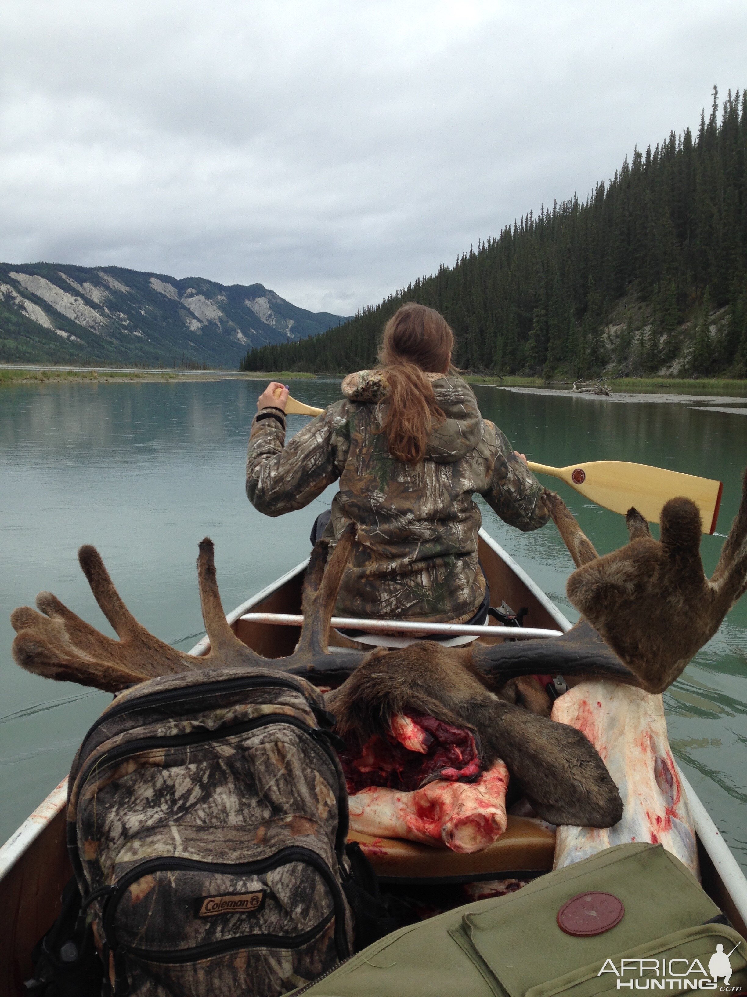 Moose Hunt Canada