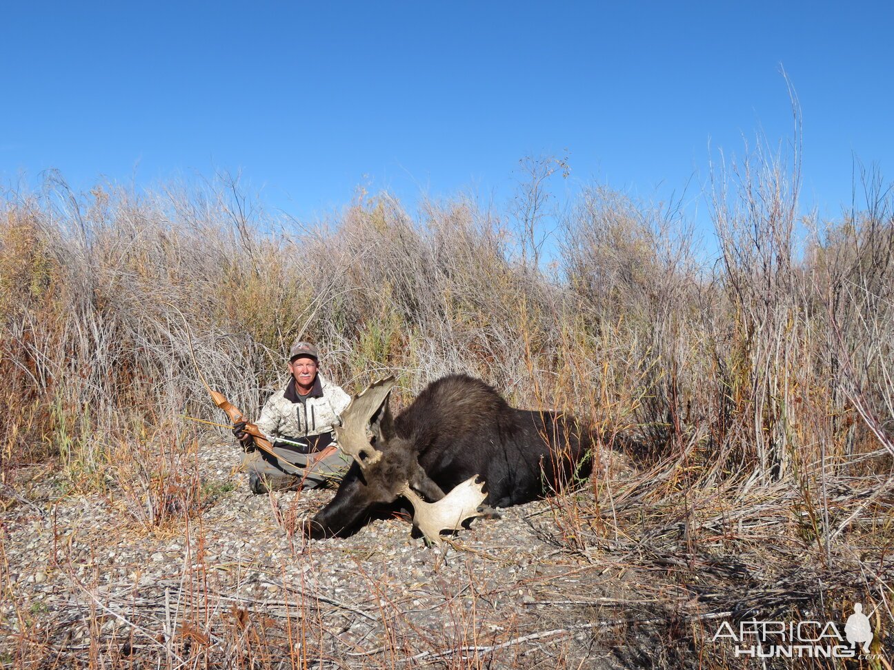 Moose Hunting