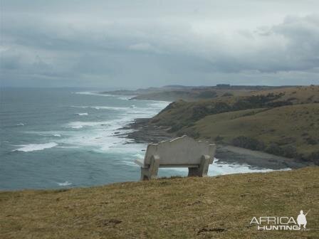 Morgan Bay South Africa