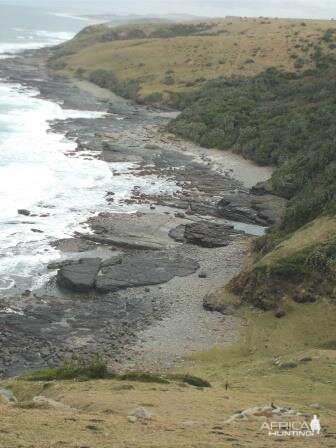 Morgan Bay South Africa