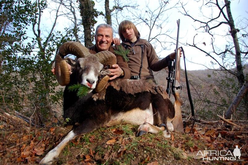 Mouflon Hunt in France