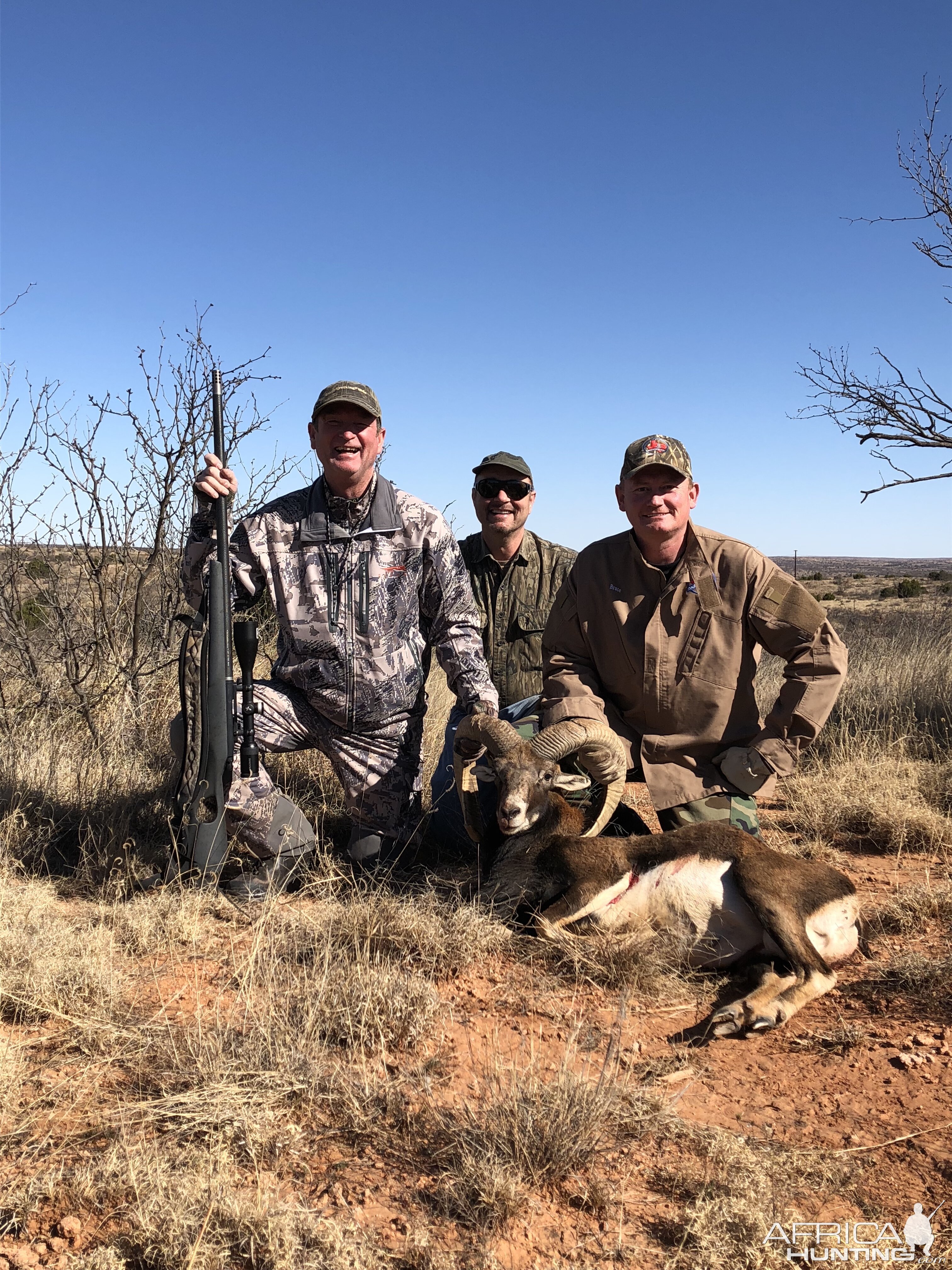 Mouflon Hunt Texas