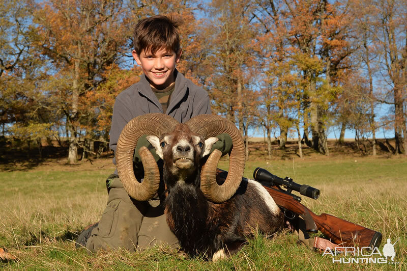 Mouflon Hunting in France