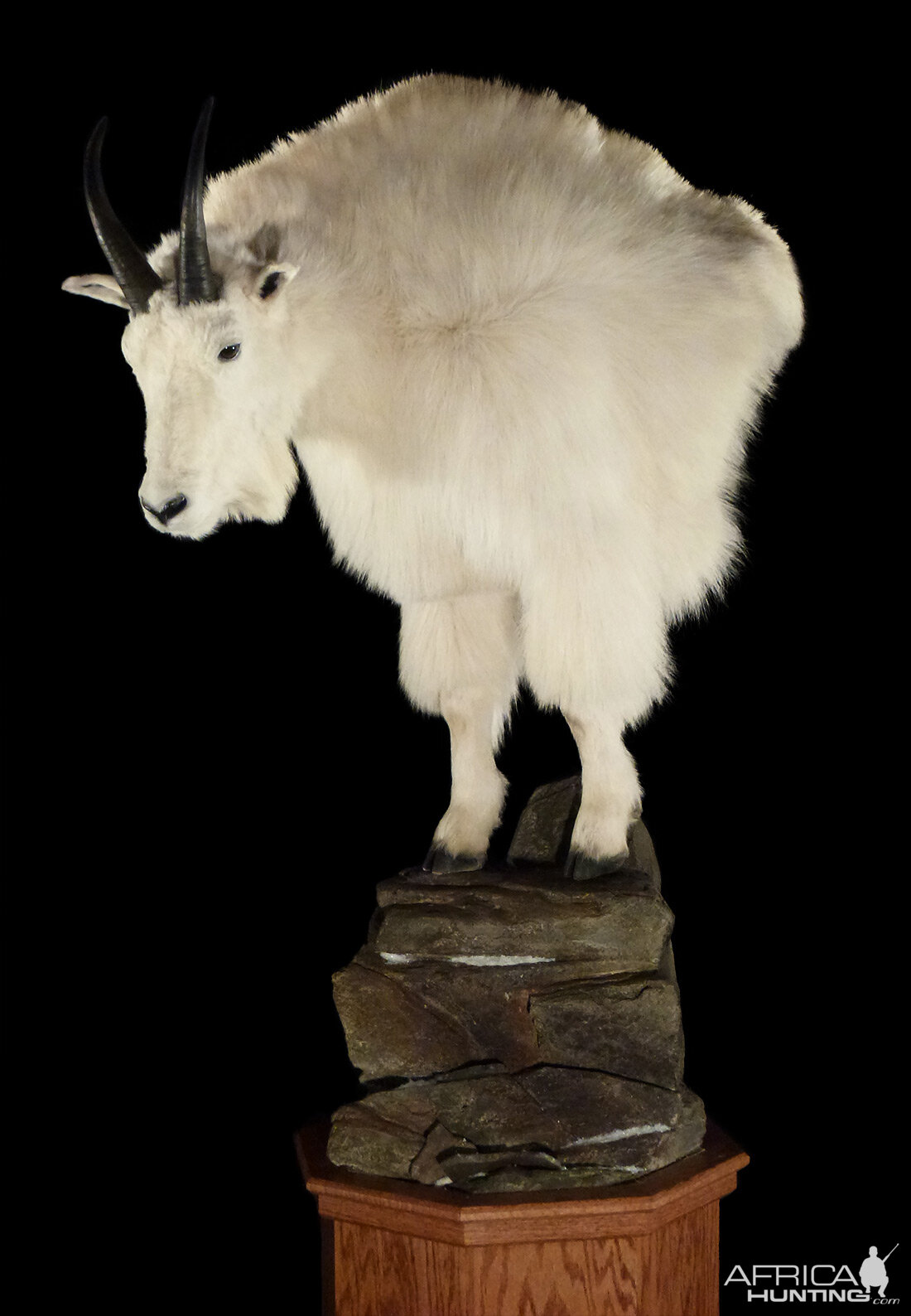 Mountain Goat Pedestal Mount