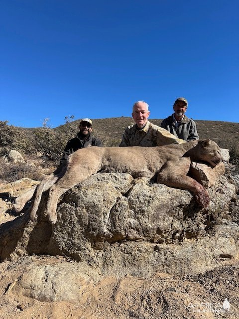 Mountain Lion Hunt  Arizona