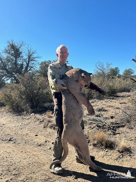 Mountain Lion Hunt  Arizona