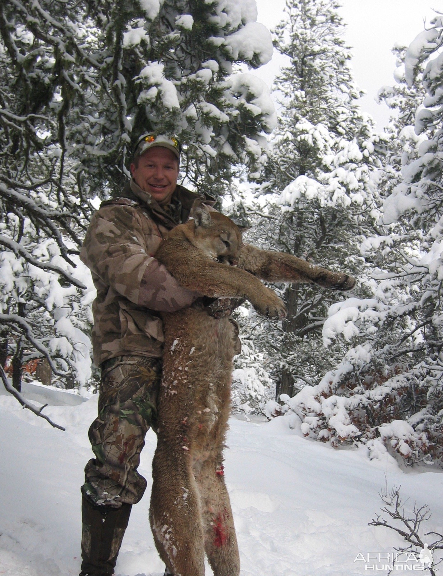 Mountain Lion Hunt New Mexico