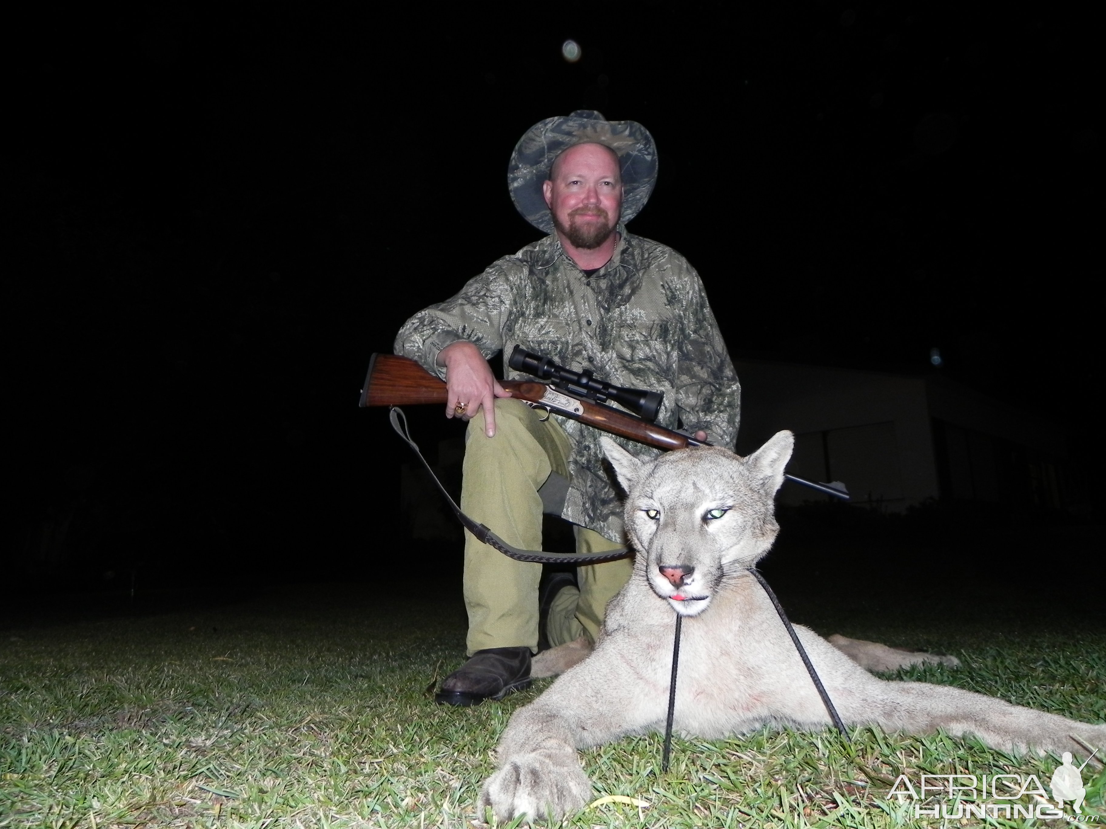 Mountain Lion Hunt