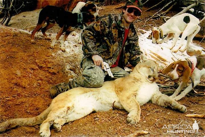 Mountain Lion Hunt