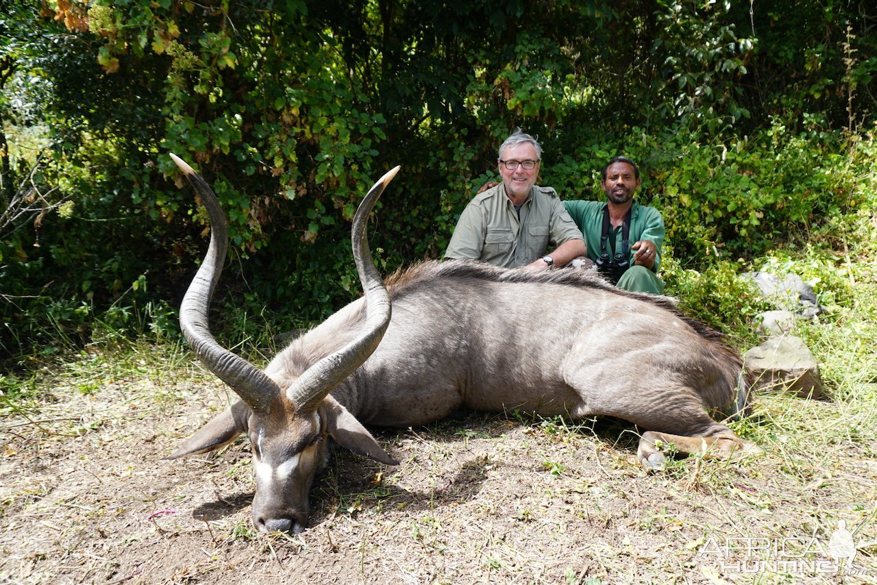 Mountain Nyala Hunt Ethiopia