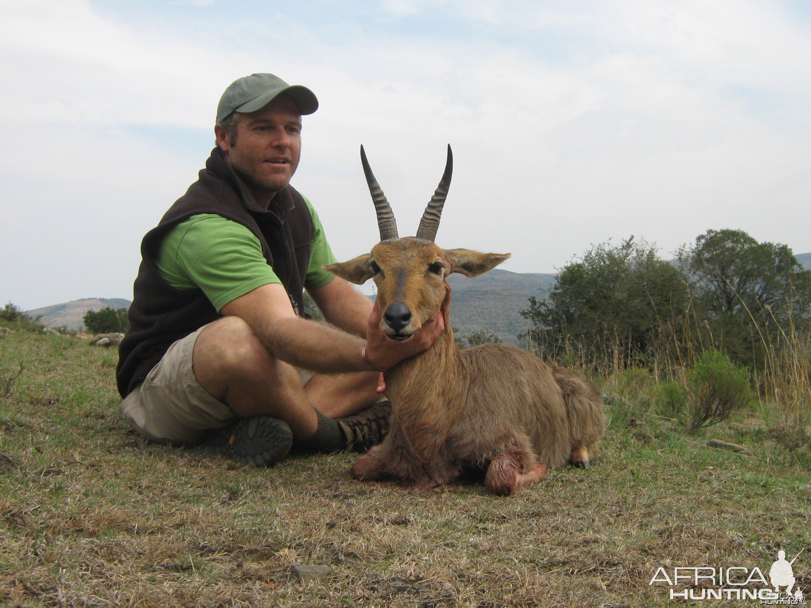 Mountain Reedbuck from Mankazana Valley.