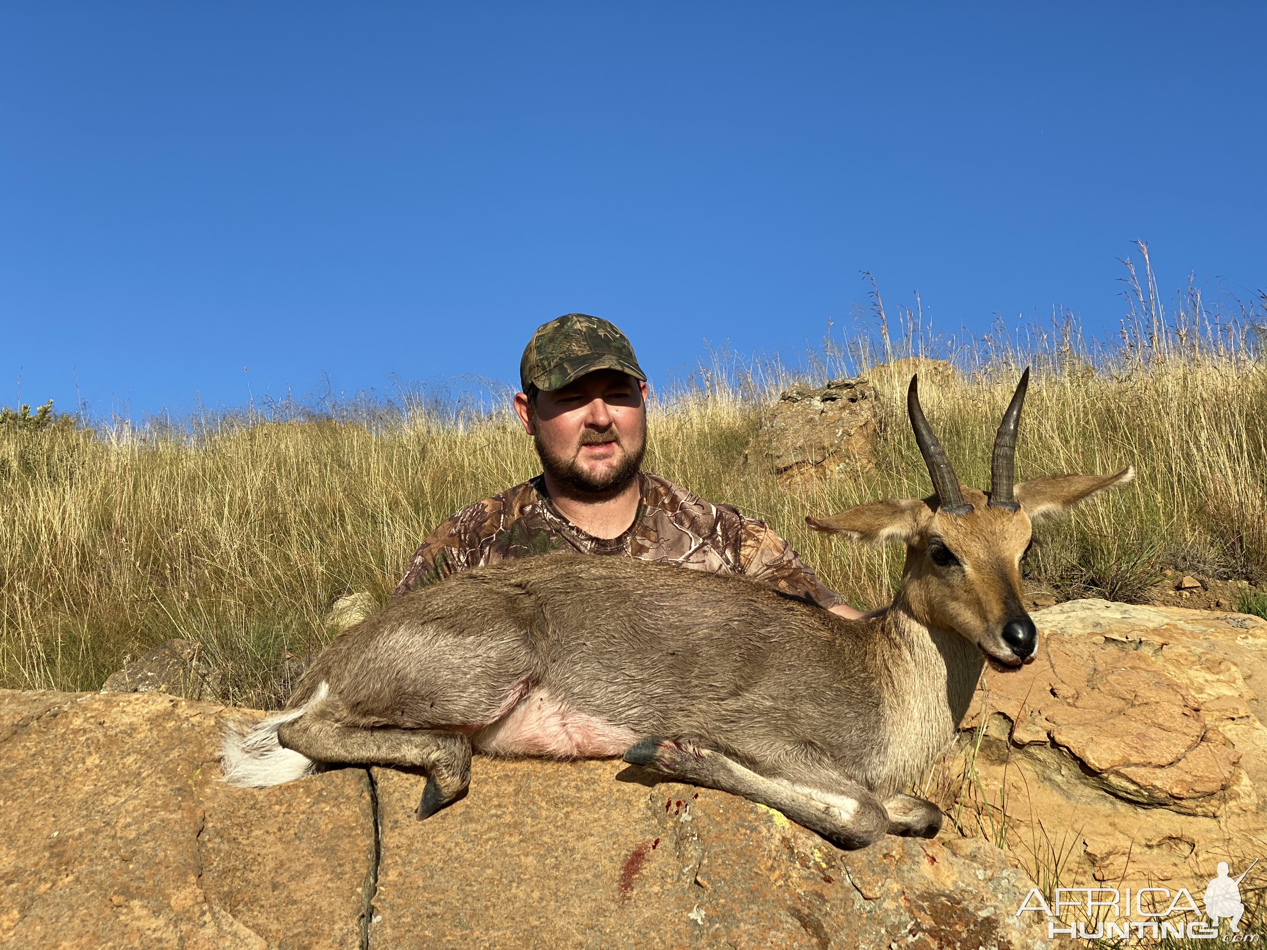 Mountain Reedbuck Hunting South Africa