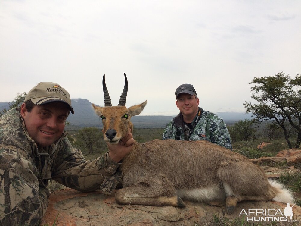 Mountain Reedbuck Hunting South Africa