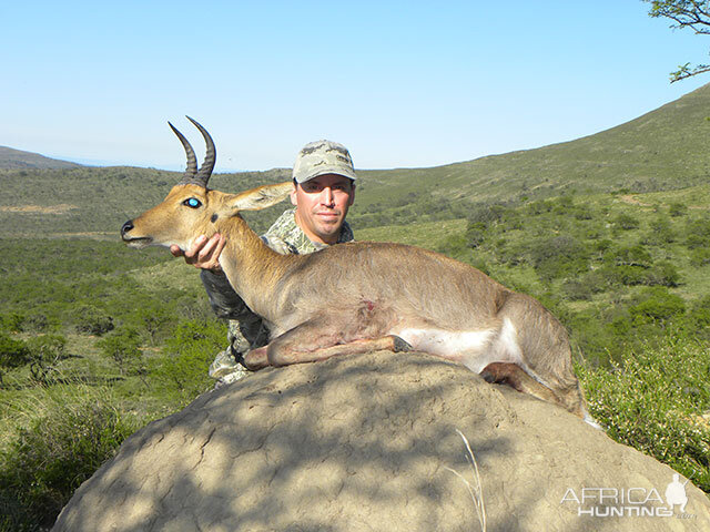 Mountain Reedbuck Hunting