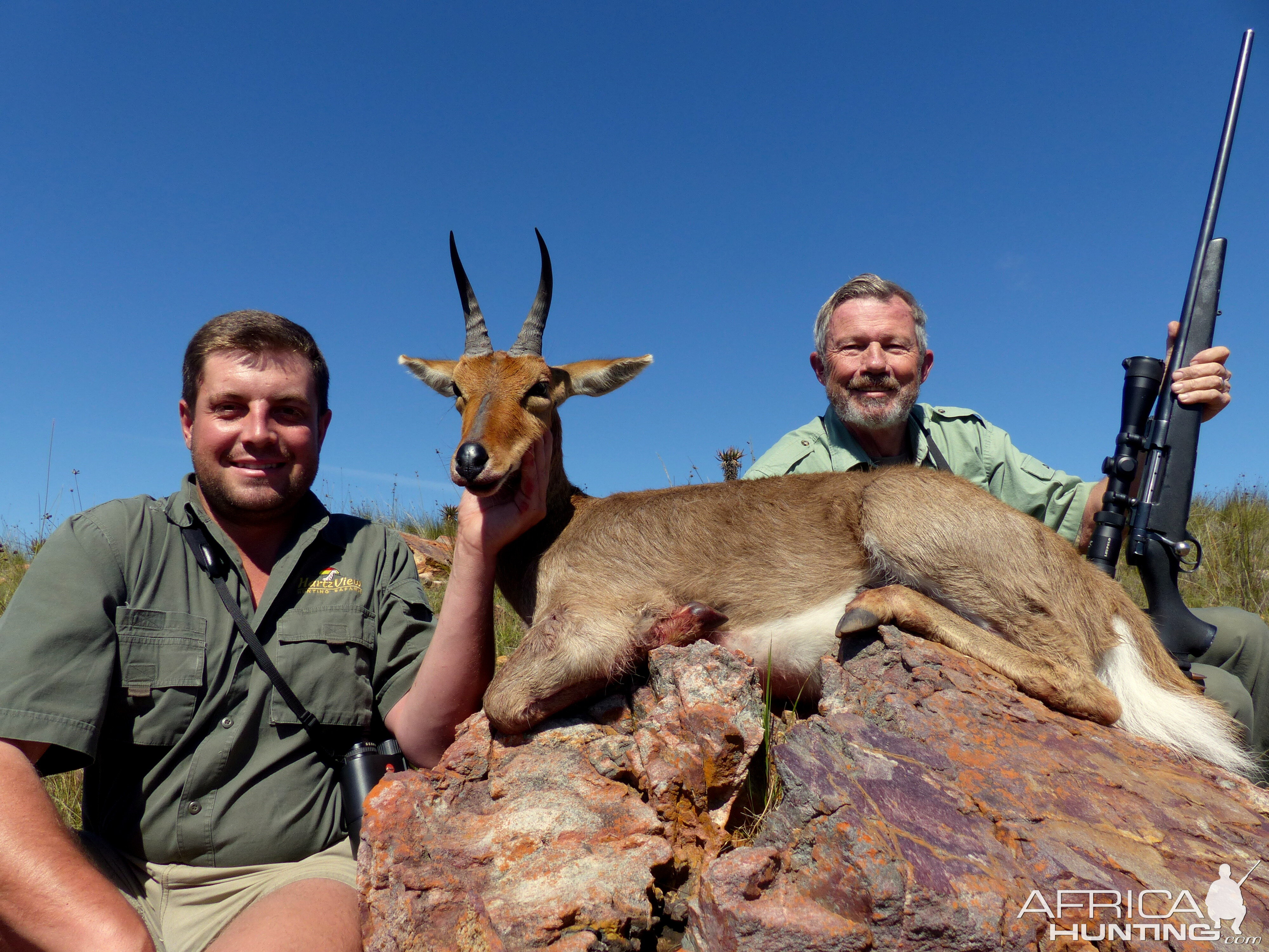 Mountain Reedbuck South Africa Hunting