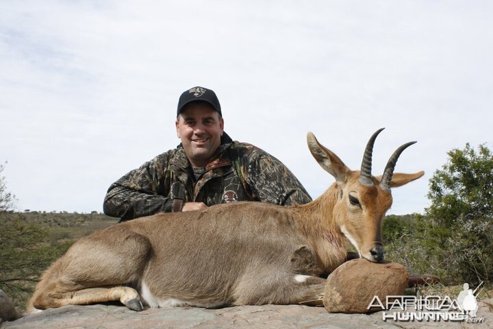 Mountain Reedbuck