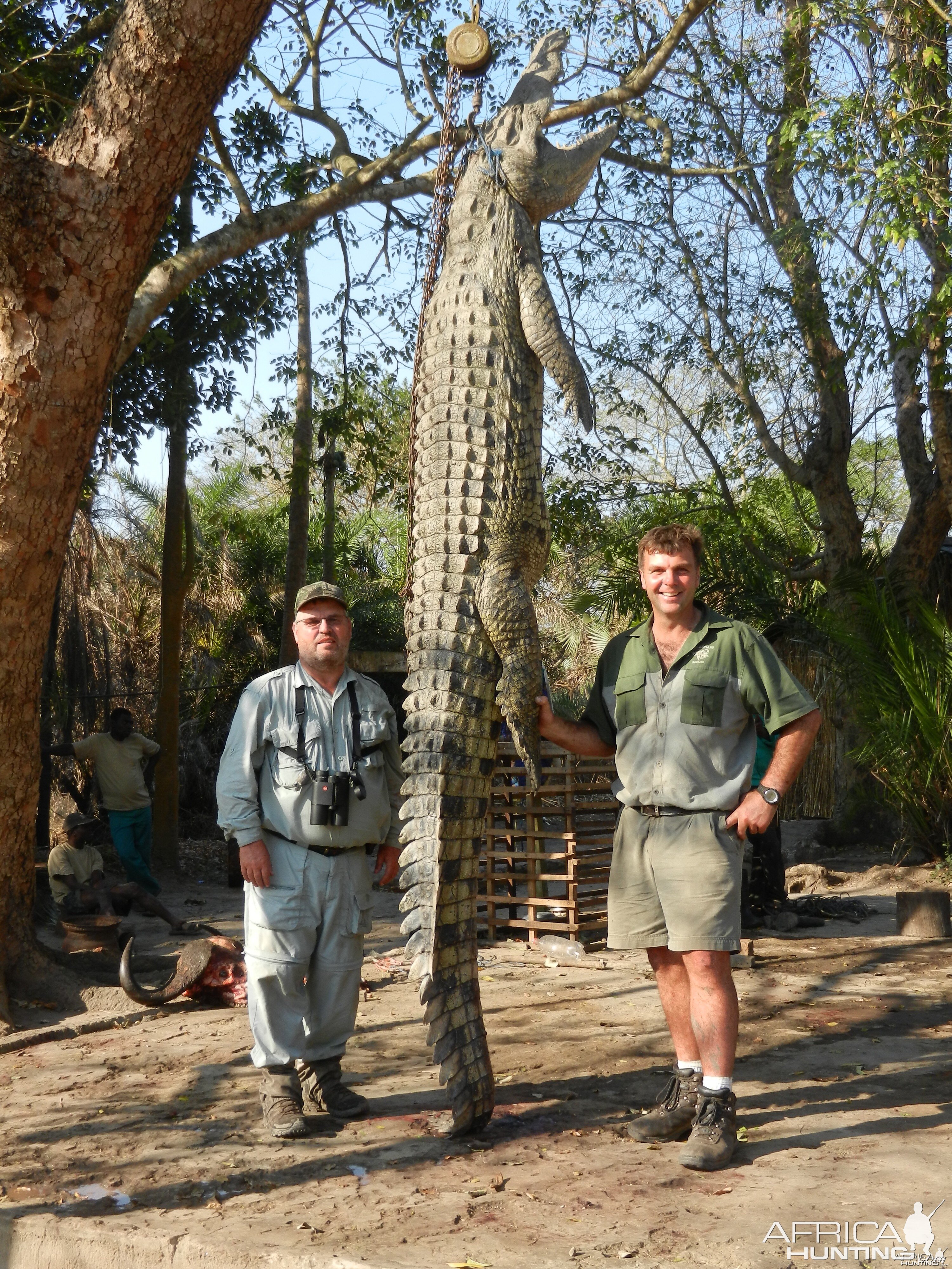 MOZAMBIQUE 14' CROCODILE 2012