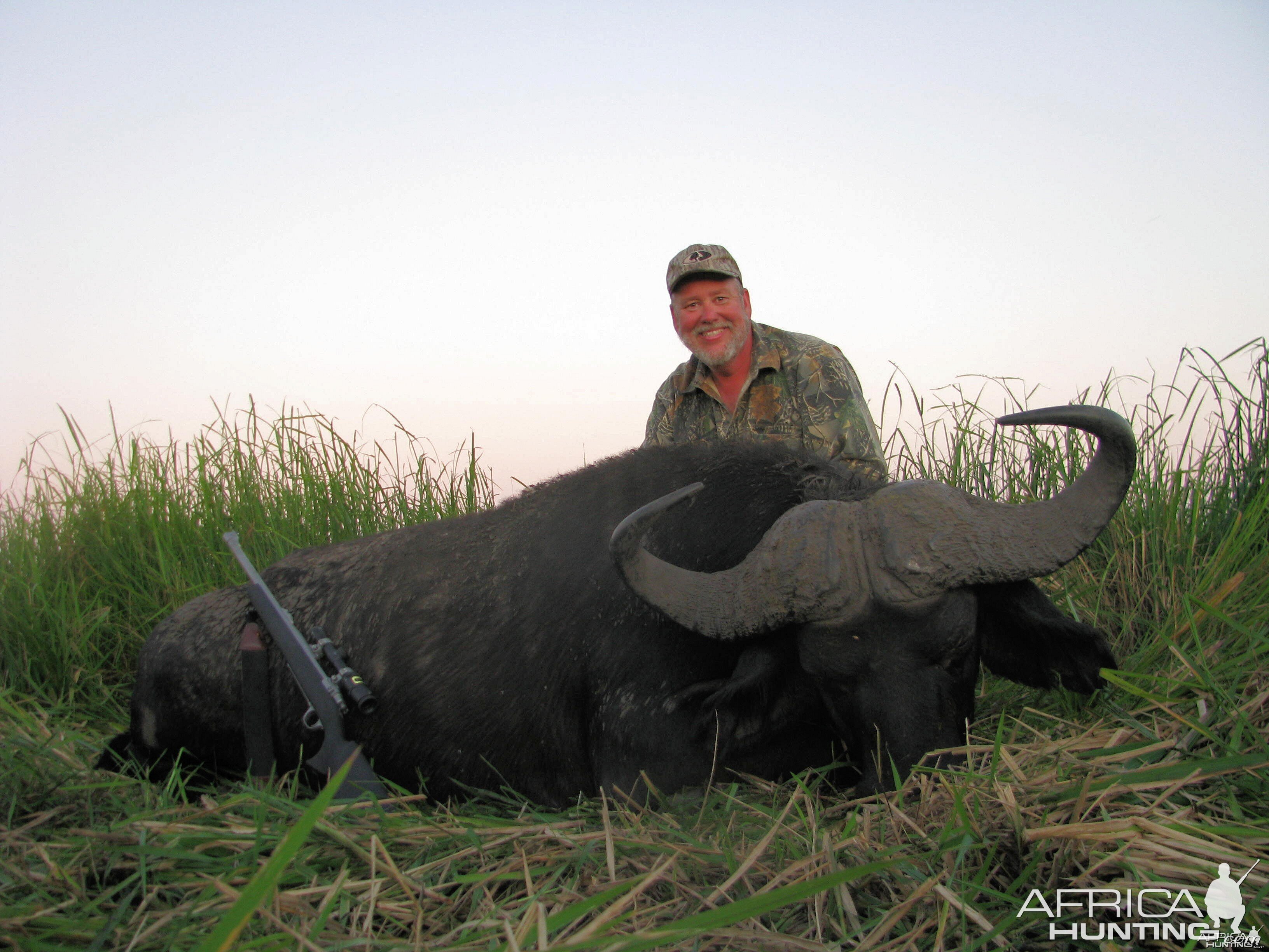 Mozambique Buffalo