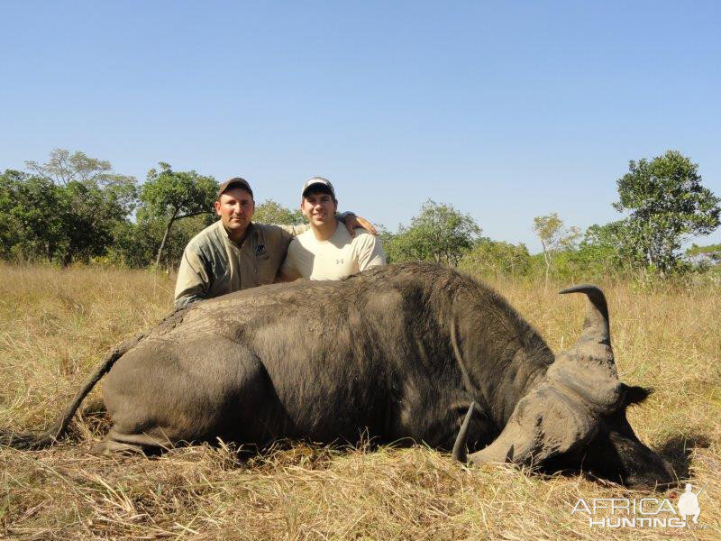 Mozambique Hunt Buffalo