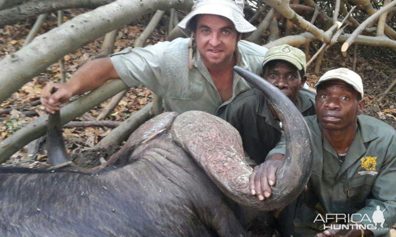 Mozambique Hunt Cape Buffalo