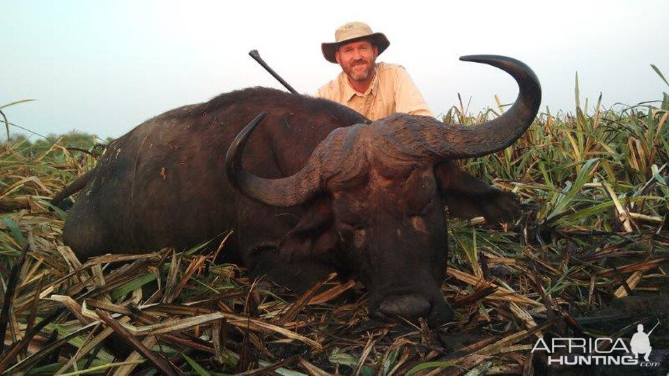 Mozambique Hunt Cape Buffalo