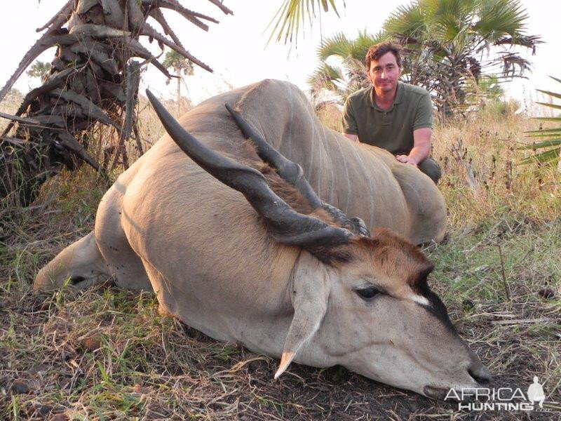 Mozambique Hunt Eland