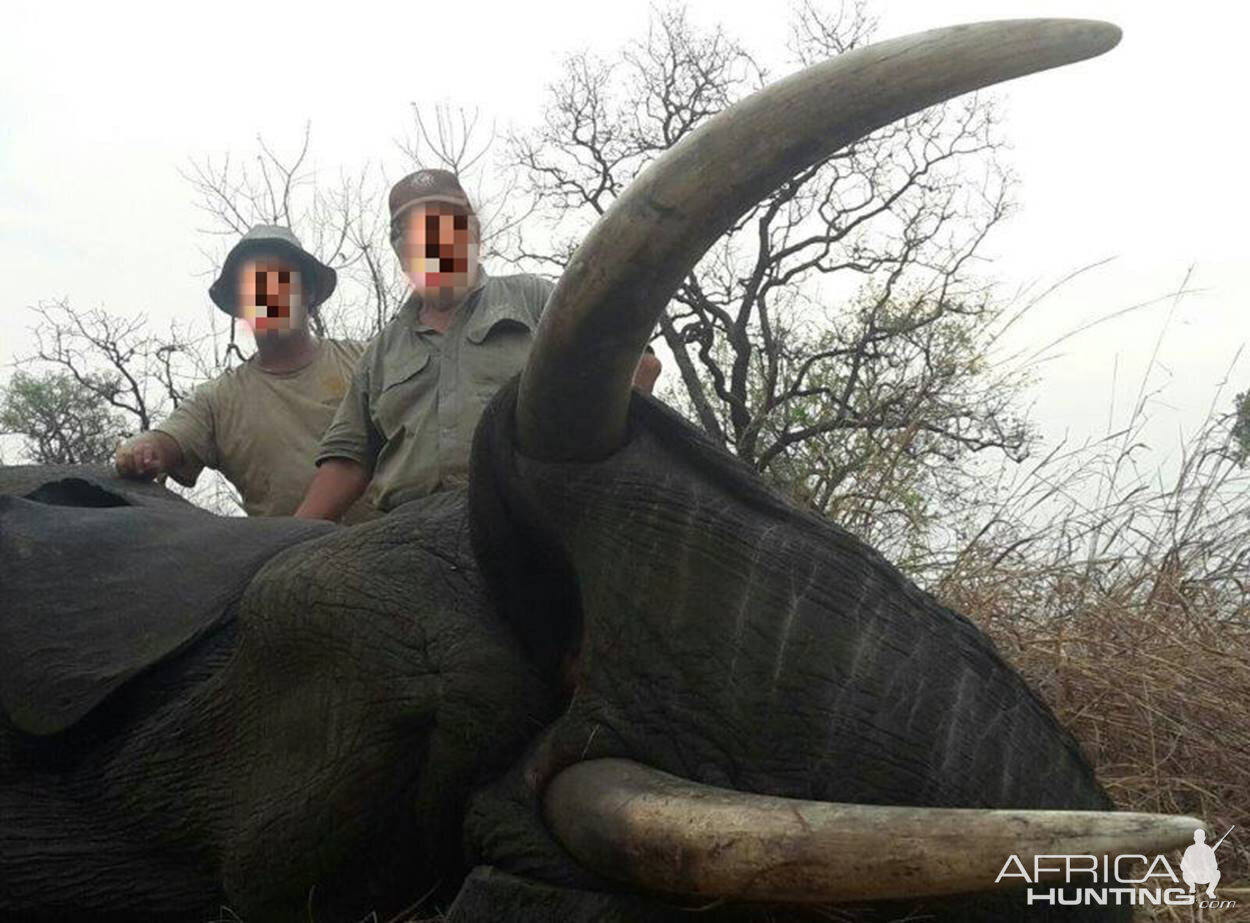 Mozambique Hunt Elephant