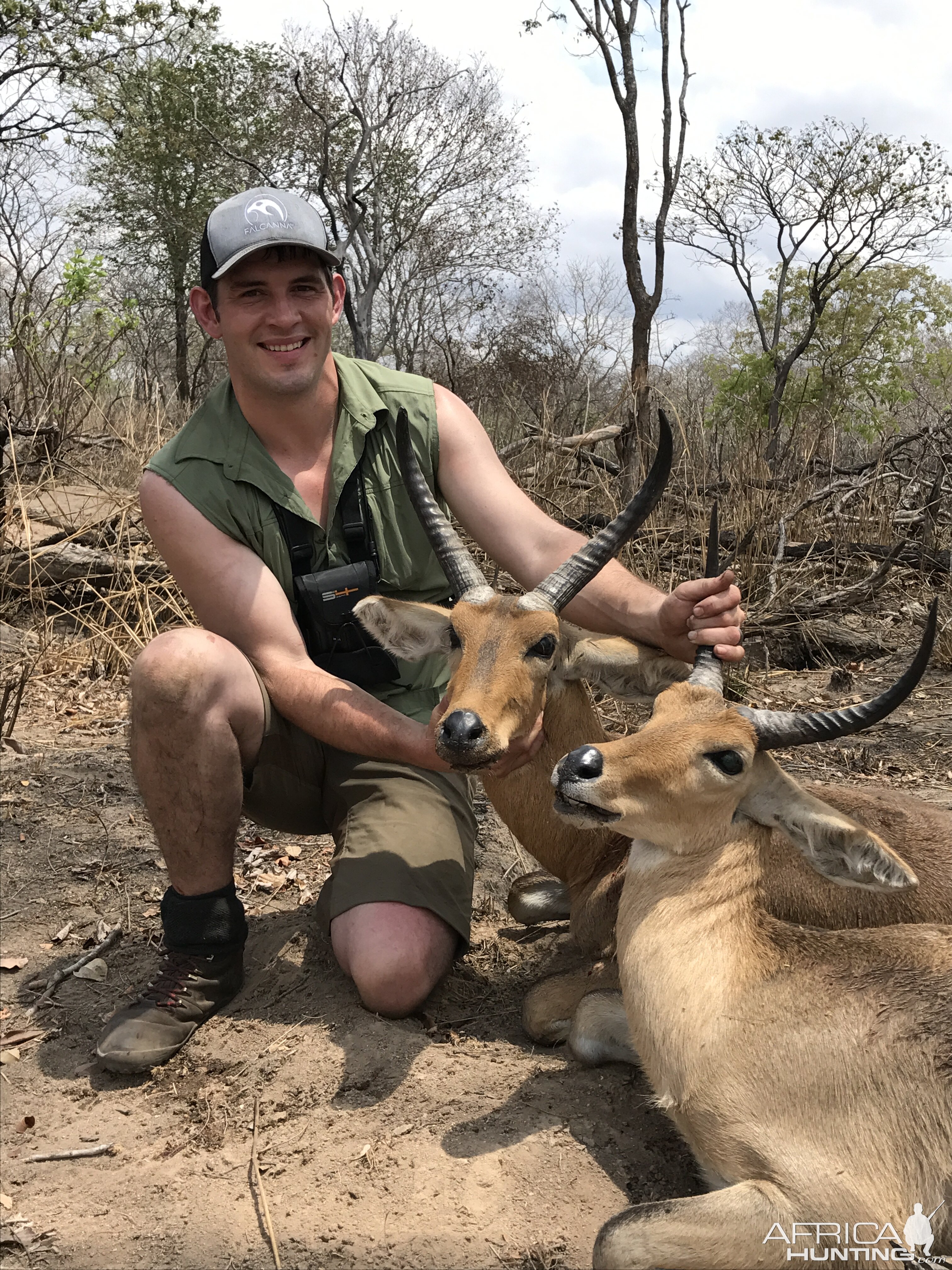 Mozambique Hunt Reedbuck