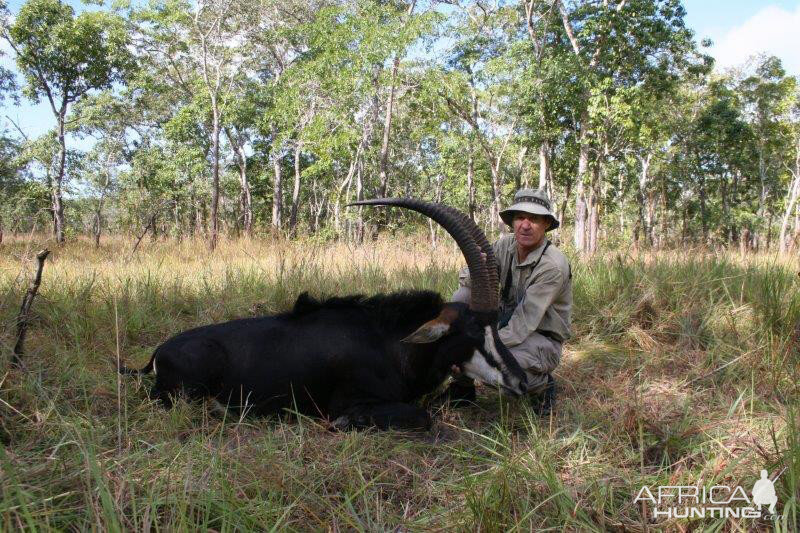 Mozambique Hunt Sable Antelope