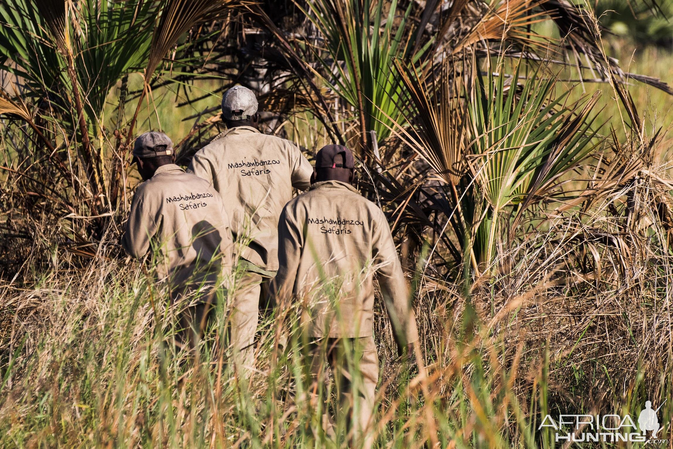 Mozambique Hunt