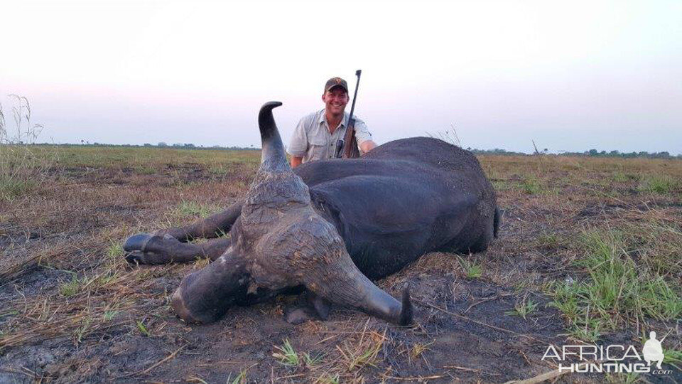 Mozambique Hunting Buffalo