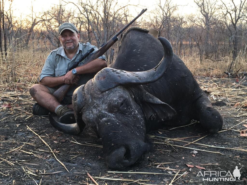 Mozambique Hunting Cape Buffalo