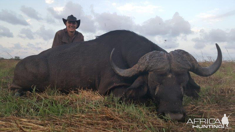 Mozambique Hunting Cape Buffalo