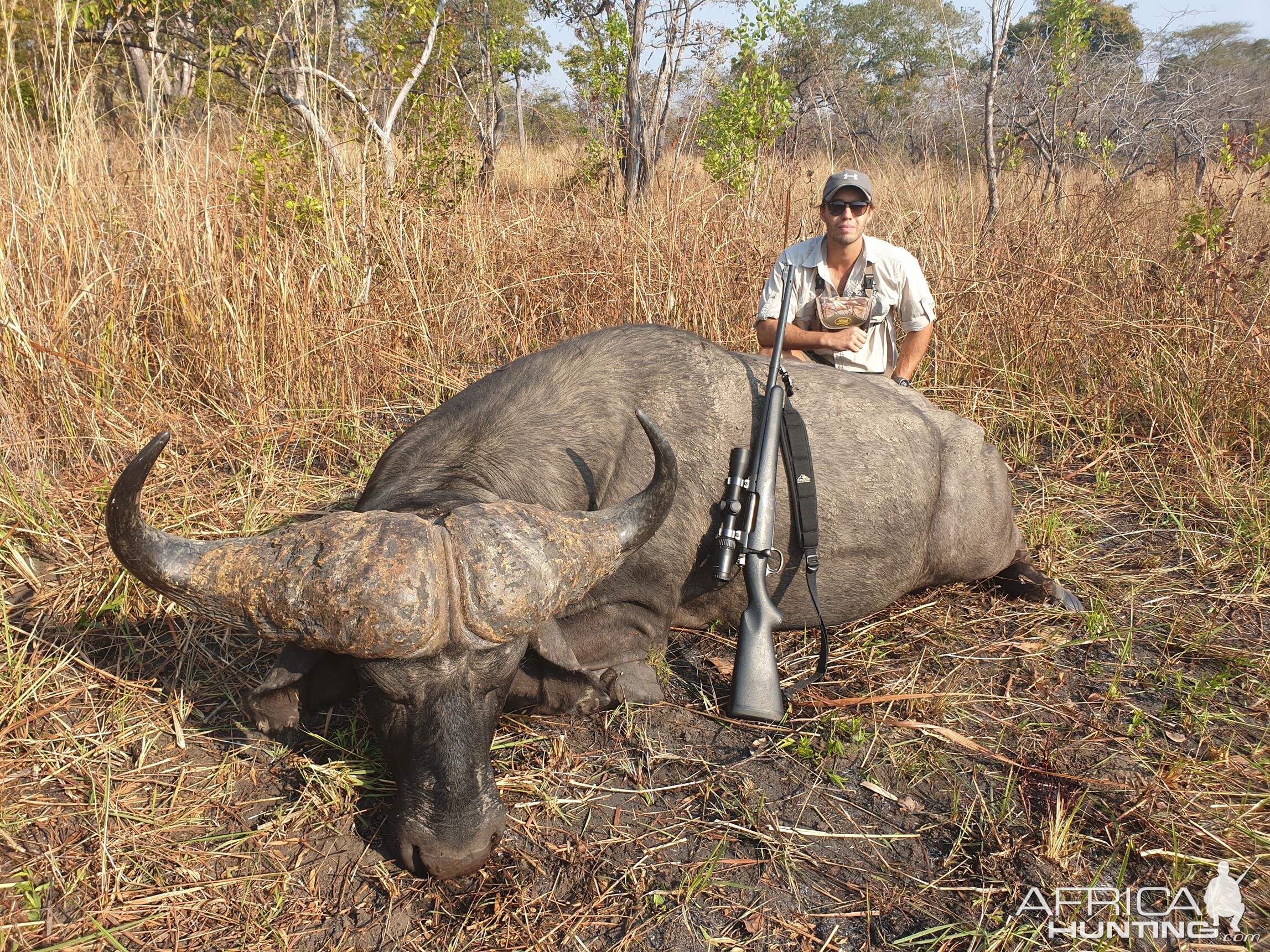 Mozambique Hunting Cape Buffalo