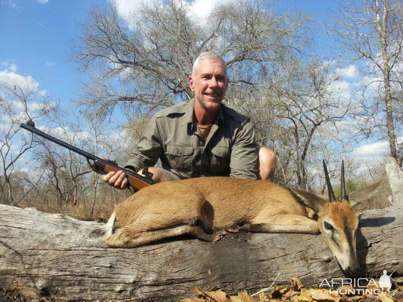 Mozambique Hunting Duiker