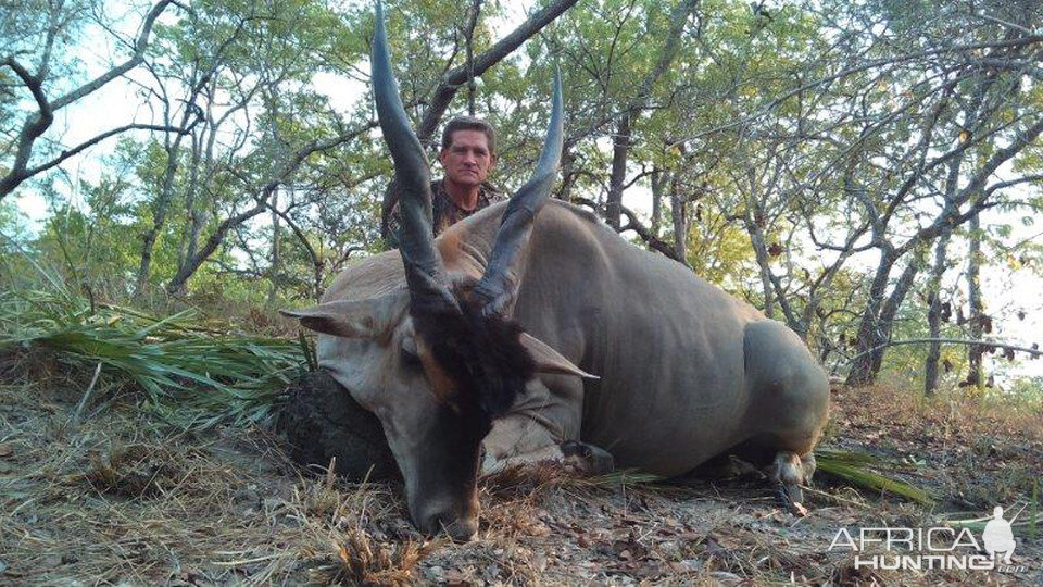 Mozambique Hunting Eland