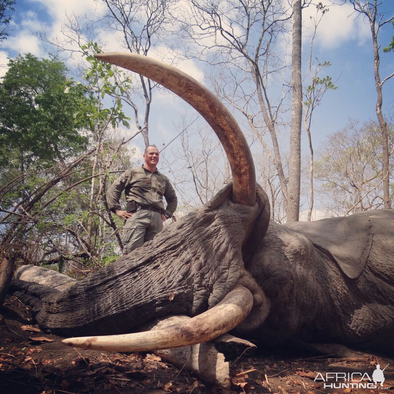 Mozambique Hunting Elephant