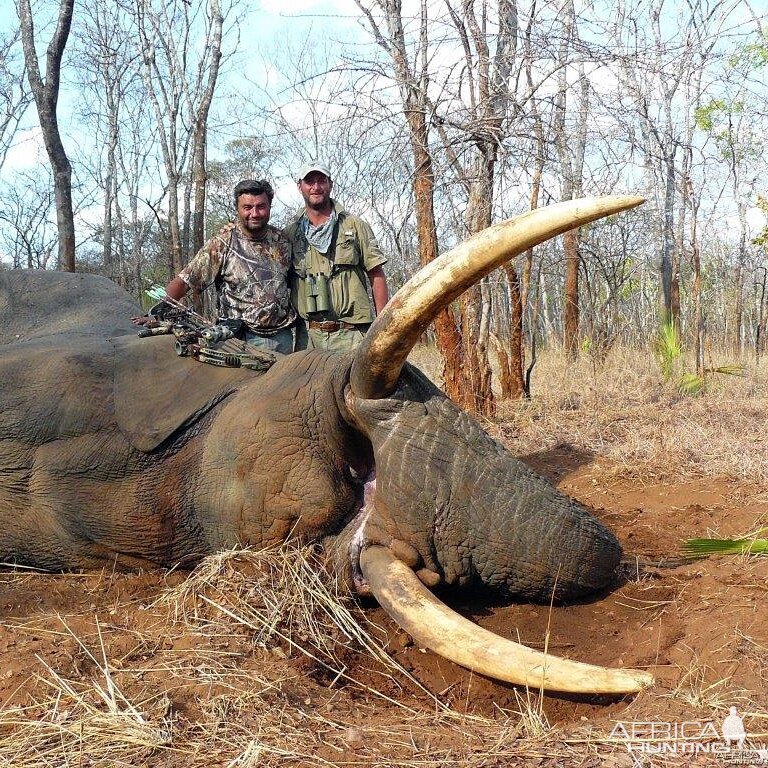 Mozambique Hunting Elephant