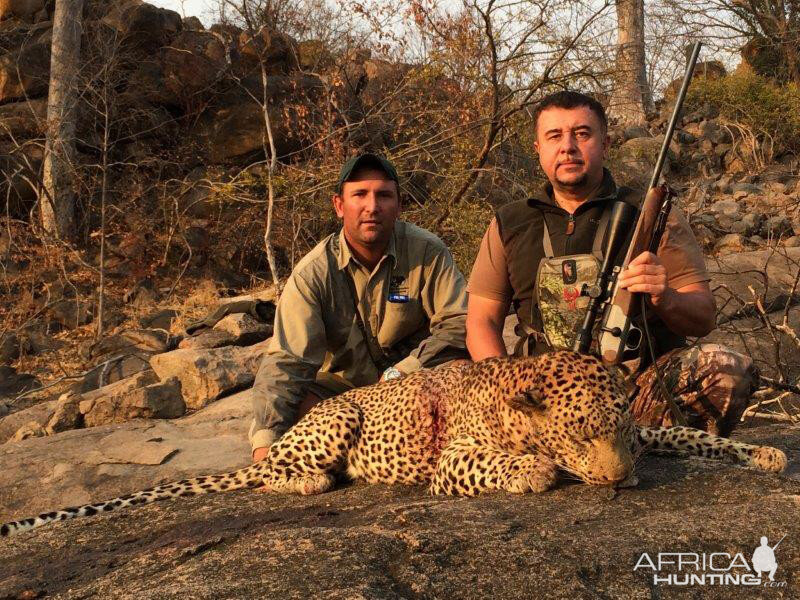 Mozambique Hunting Leopard