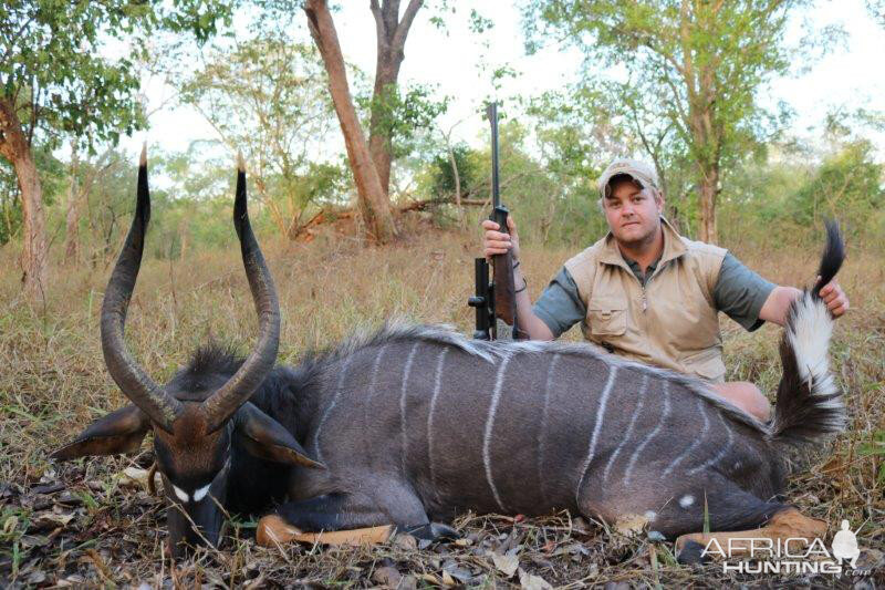 Mozambique Hunting Nyala