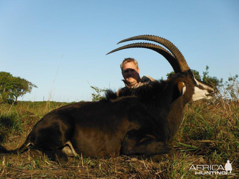 Mozambique Hunting Sable