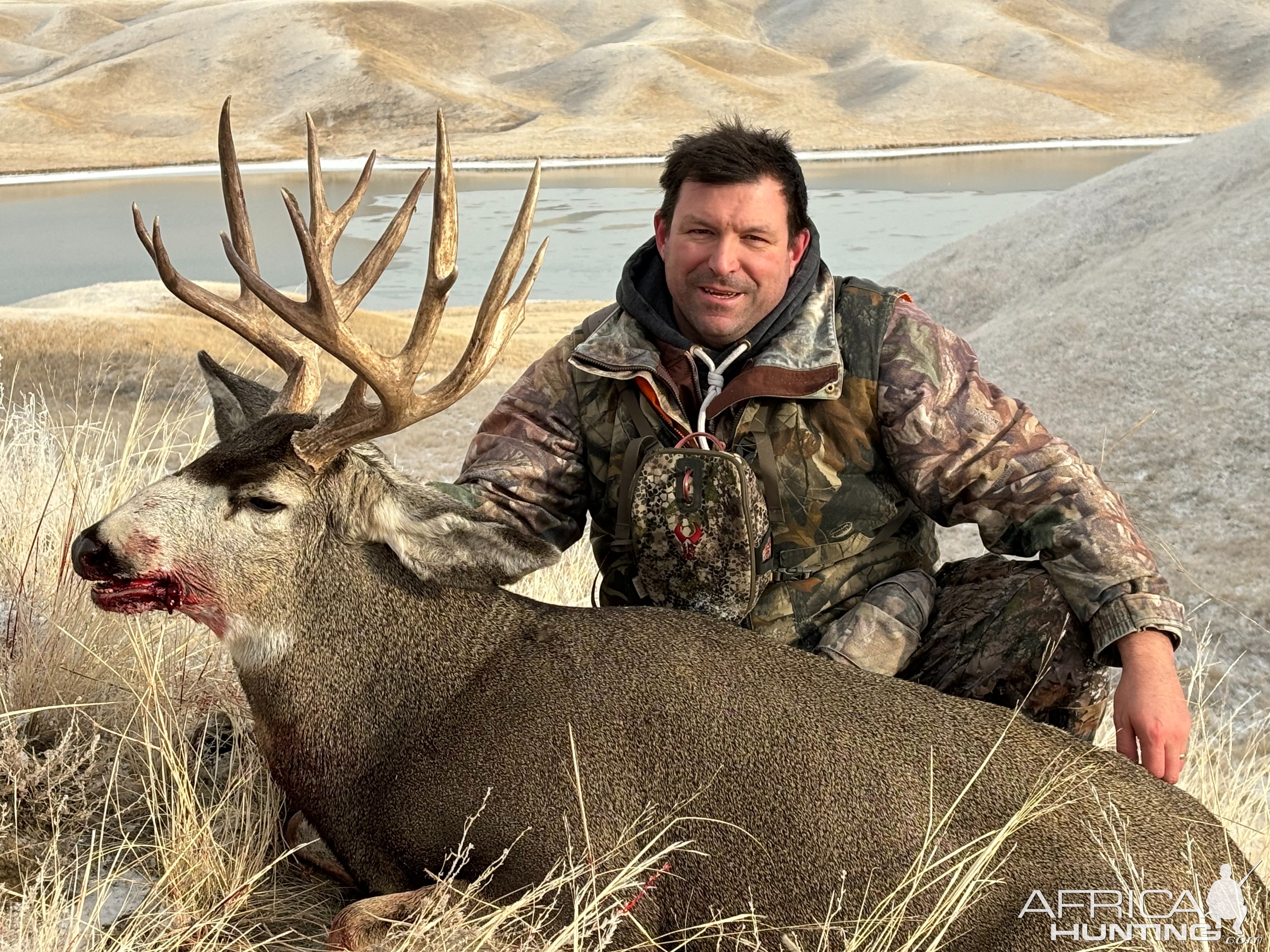 Mule Deer Hunt Alberta Canada