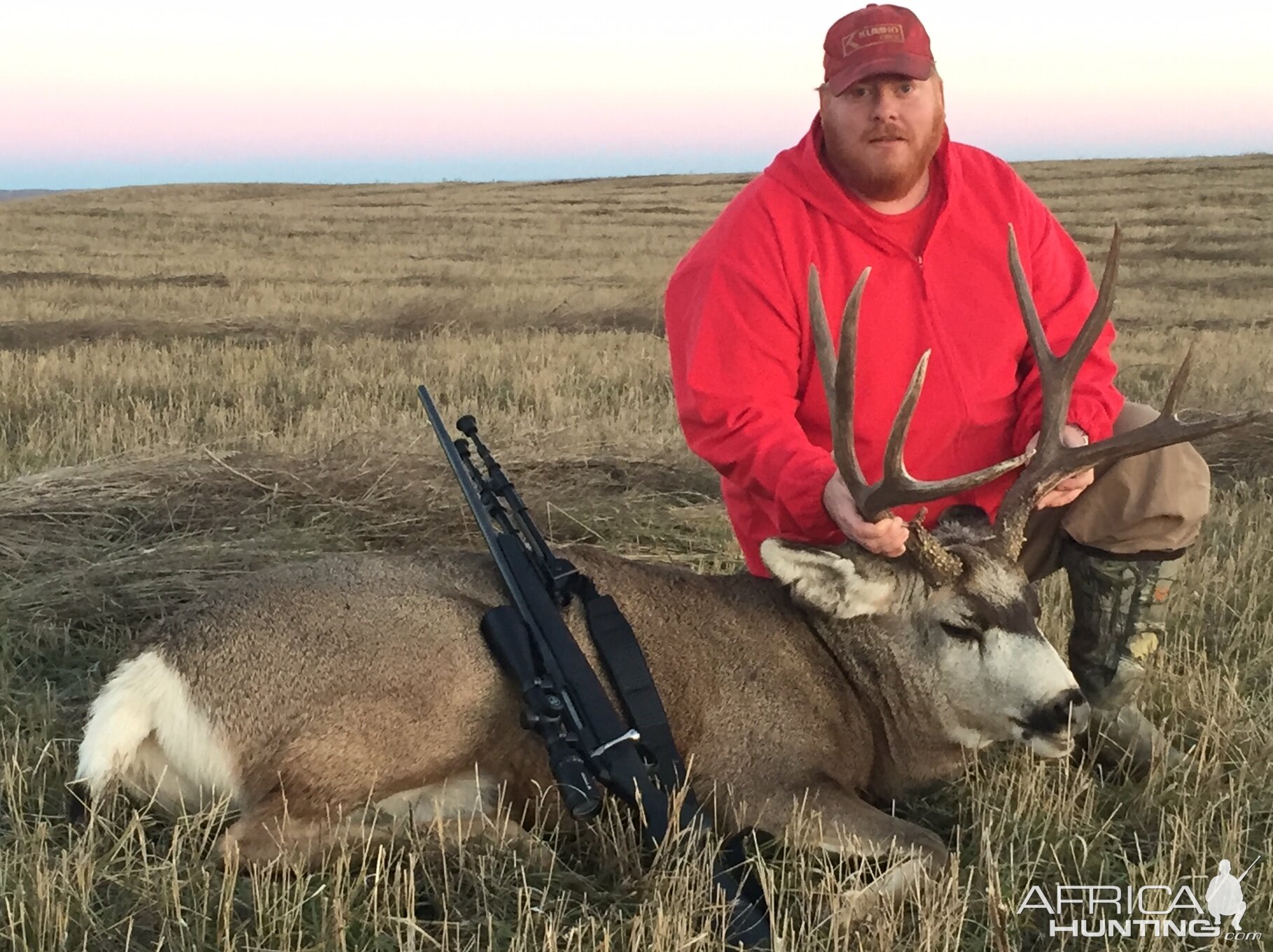 Mule Deer Hunt Canada