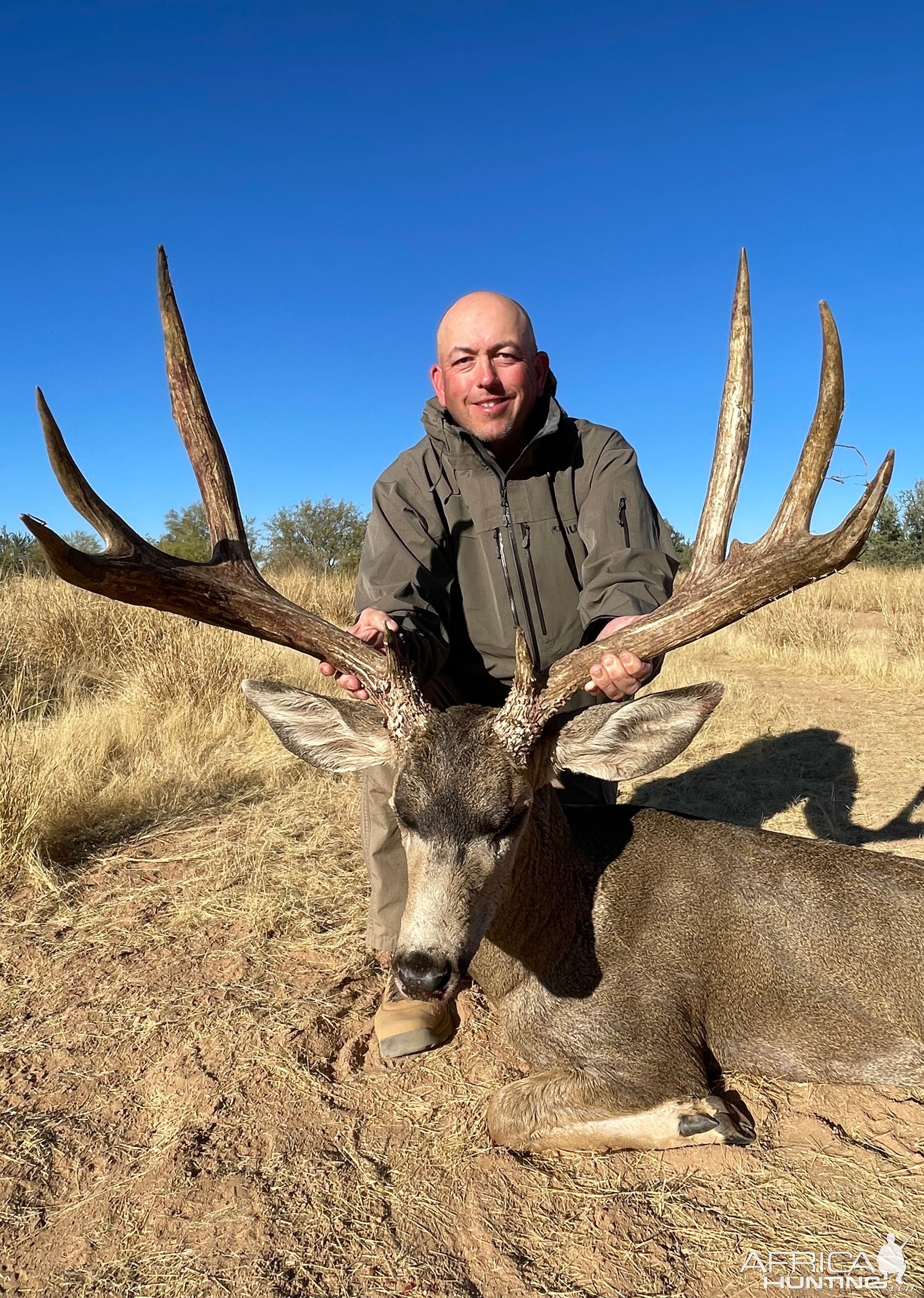 Mule Deer Hunt Mexico