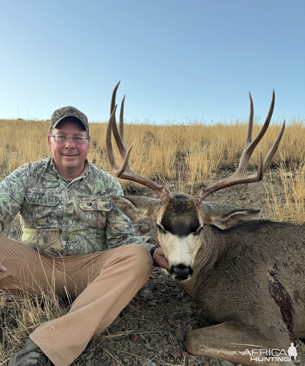 Mule Deer Hunt Nevada