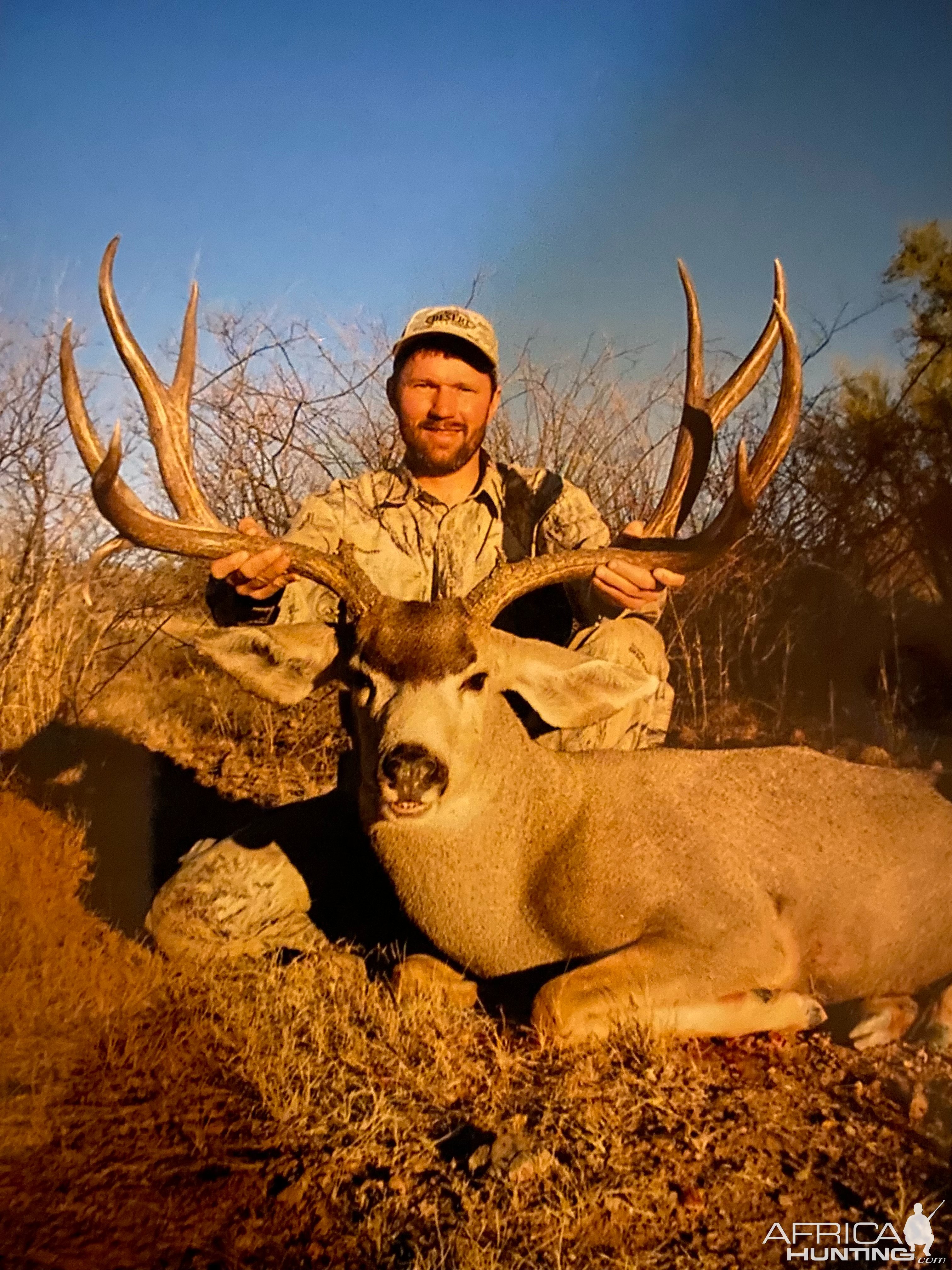 Mule Deer Hunt Sonora