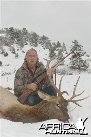 My $13 Elk