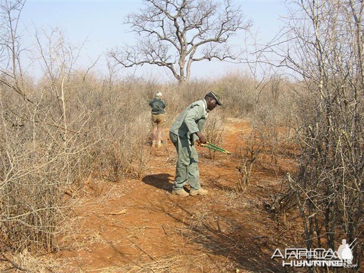 My Leopard Hunt with Motsomi Safaris in South Africa