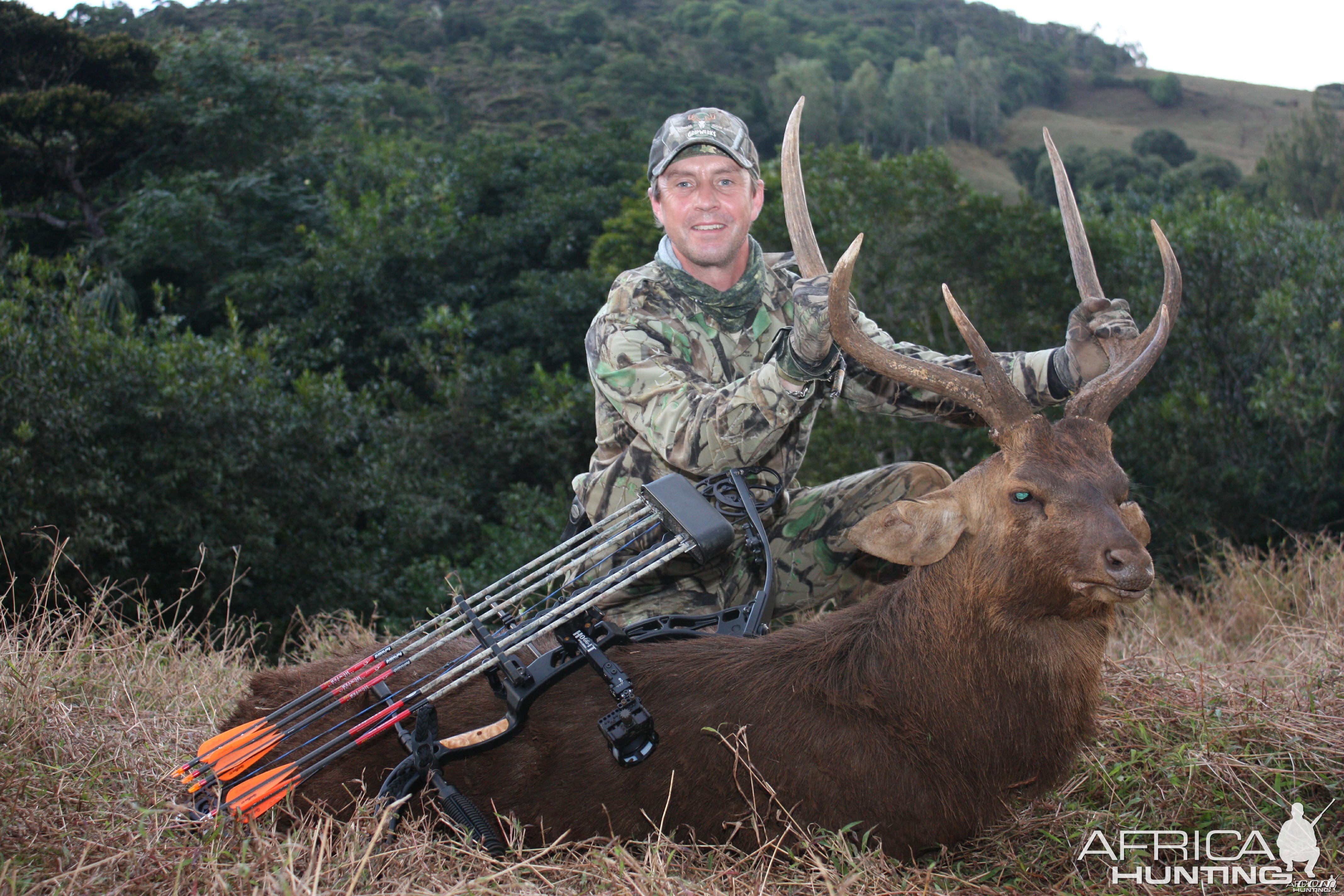 My Rusa Deer bowhunted in Mauritius with Le Chasseur Mauricien